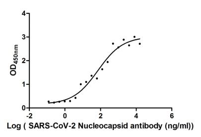 SARS-CoV-2 Nucleoprotein Antibody - Measured by its binding ability in a functional ELISA. Immobilized SARS-CoV-2-N at 5 µg/ml can bind SARS-CoV-2-N Antibody, the EC50 of SARS-CoV-2-N Antibody is 43.50-118.4 ng/ml.