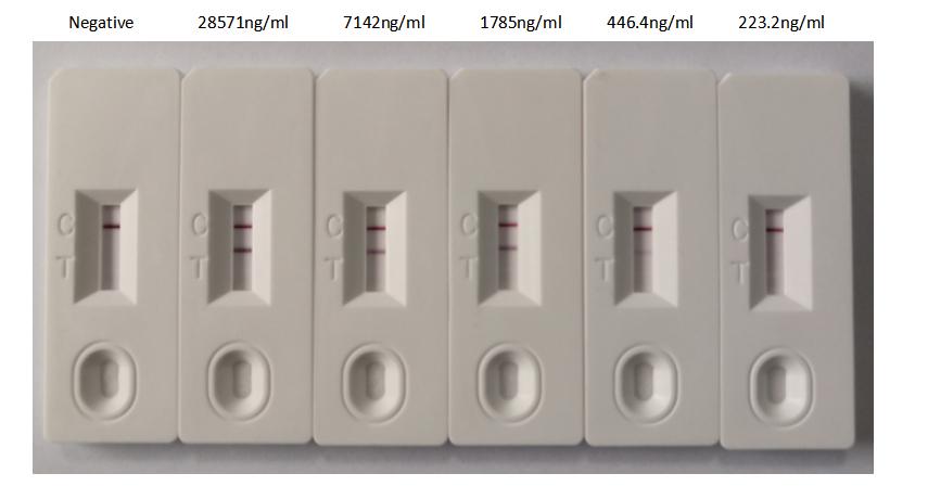 SARS-CoV-2 Nucleoprotein Antibody - In the Colloidal Gold Immunochromatography Assay detection system, the detection limit can be as low as 446.4ng/ml (31.25ng/0.07ml).