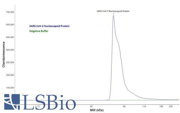 SARS-CoV-2 Nucleoprotein Antibody - Capillary Western Analysis of anti-SARS-CoV-2 Nucleoprotein antibody (LS-A13452, 1 mg/ml) using 12-230 kDa separation module. Blue Curve: SARS-CoV-2 Nucleocapsid Protein (10 ng/µl); Green Curve: Negative Control, buffer only. (Protein Simple Electropherogram)