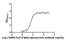 SARS-CoV-2 Spike Glycoprotein Antibody - Measured by its binding ability in a functional ELISA. Immobilized SARS-CoV-2-S at 2 µg/ml can bind SARS-CoV-2-S Antibody, the EC50 of SARS-CoV-2-S Antibody is 36.79-48.87 ng/ml.