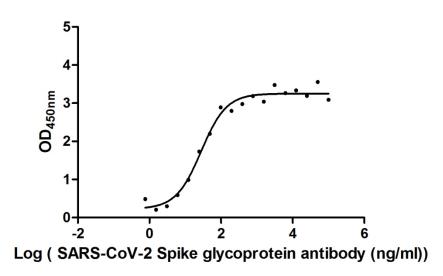 SARS-CoV-2 Spike Glycoprotein Antibody - Measured by its binding ability in a functional ELISA. Immobilized SARS-CoV-2-S1-RBD at 2 µg/ml can bind SARS-CoV-2-S Antibody, the EC50 of SARS-CoV-2-S Antibody is 19.60-39.42 ng/ml.
