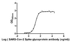 SARS-CoV-2 Spike Glycoprotein Antibody - The binding activity of SARS-CoV-2-Spike Antibody with SARS-CoV-2-S1-RBD Activity: Measured by its binding ability in a functional ELISA. Immobilized SARS-CoV-2-S1-RBD at 2 µg/ml can bind SARS-CoV-2-S Antibody, the EC50 is 15.29 ng/ml.