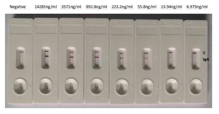 SARS-CoV-2 Spike Glycoprotein Antibody - In the Colloidal Gold Immunochromatography Assay detection system, the detection limit can be as low as 13.94ng/ml (0.976ng/0.07ml).