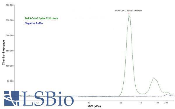SARS-CoV-2 Spike Glycoprotein Antibody - Capillary Western Analysis of anti-SARS-CoV-2 Spike Glycoprotein antibody (LS-A13540, 1 mg/ml) using 12-230 kDa separation module. Green Curve: SARS-CoV-2 Spike Glycoprotein (1 ng/µl); Blue Curve: Negative Control, buffer only. (Protein Simple Electropherogram)