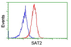 SAT2 Antibody - Flow cytometry of Jurkat cells, using anti-SAT2 antibody (Red), compared to a nonspecific negative control antibody (Blue).