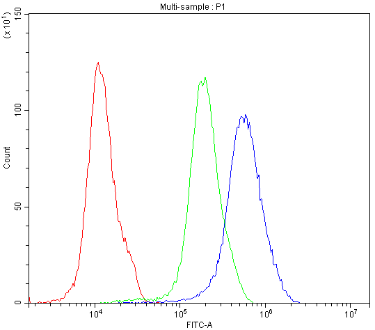 SATB1 Antibody - Flow Cytometry analysis of PC-3 cells using anti-SATB1 antibody. Overlay histogram showing PC-3 cells stained with anti-SATB1 antibody (Blue line). The cells were blocked with 10% normal goat serum. And then incubated with rabbit anti-SATB1 Antibody (1µg/10E6 cells) for 30 min at 20°C. DyLight®488 conjugated goat anti-rabbit IgG (5-10µg/10E6 cells) was used as secondary antibody for 30 minutes at 20°C. Isotype control antibody (Green line) was rabbit IgG (1µg/10E6 cells) used under the same conditions. Unlabelled sample (Red line) was also used as a control.