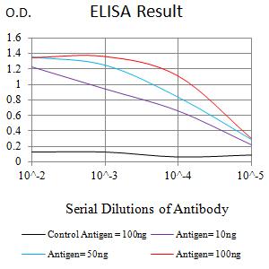 SATB2 Antibody - Black line: Control Antigen (100 ng);Purple line: Antigen (10ng); Blue line: Antigen (50 ng); Red line:Antigen (100 ng)