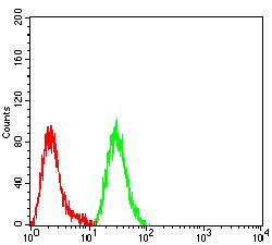 SATB2 Antibody - Flow cytometric analysis of Hela cells using SATB2 mouse mAb (green) and negative control (red).