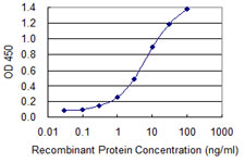 SAV1 / WW45 Antibody - Detection limit for recombinant GST tagged SAV1 is 0.1 ng/ml as a capture antibody.
