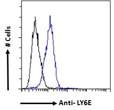 SCA2 / LY6E Antibody - SCA2 / LY6E antibody flow cytometric analysis of paraformaldehyde fixed NIH3T3 cells (blue line), permeabilized with 0.5% Triton. Primary incubation 1hr (10ug/ml) followed by Alexa Fluor 488 secondary antibody (1ug/ml). IgG control: Unimmunized goat IgG (black line) followed by Alexa Fluor 488 secondary antibody.