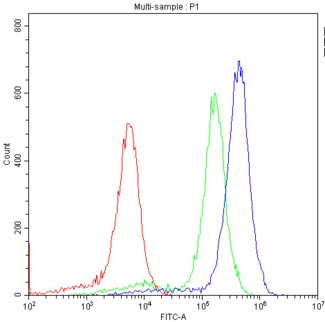 SCARB1 / SR-BI Antibody - Flow Cytometry analysis of BRL cells using anti-SCARB1 antibody. Overlay histogram showing BRL cells stained with anti-SCARB1 antibody (Blue line). The cells were blocked with 10% normal goat serum. And then incubated with rabbit anti-SCARB1 Antibody (1µg/10E6 cells) for 30 min at 20°C. DyLight®488 conjugated goat anti-rabbit IgG (5-10µg/10E6 cells) was used as secondary antibody for 30 minutes at 20°C. Isotype control antibody (Green line) was rabbit IgG (1µg/10E6 cells) used under the same conditions. Unlabelled sample (Red line) was also used as a control.