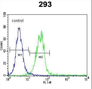 SCGF Antibody - CLEC11A Antibody flow cytometry of 293 cells (right histogram) compared to a negative control cell (left histogram). FITC-conjugated goat-anti-rabbit secondary antibodies were used for the analysis.
