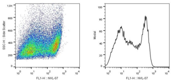 SCIMP Antibody - Intracellular staining of SCIMP in a population of HEK-293T-SCIMP transfectants using monoclonal antibody (clone NVL-07, purified).The staining pattern reflects heterogeneity in the cell population regarding transfection efficiency.