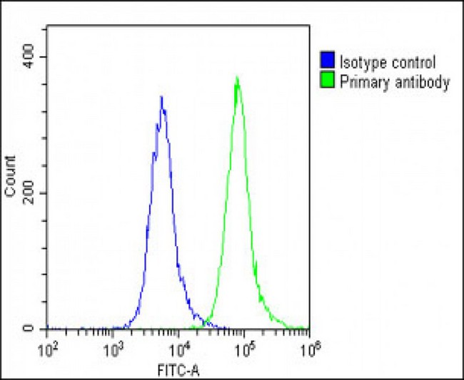 SCN1A / Nav1.1 Antibody - Overlay histogram showing U-87 MG cells stained with SCN1A Antibody (Center) (green line). The cells were fixed with 2% paraformaldehyde (10 min) and then permeabilized with 90% methanol for 10 min. The cells were then icubated in 2% bovine serum albumin to block non-specific protein-protein interactions followed by the antibody (SCN1A Antibody (Center), 1:25 dilution) for 60 min at 37°C. The secondary antibody used was Goat-Anti-Rabbit IgG, DyLight® 488 Conjugated Highly Cross-Adsorbed (1583138) at 1/200 dilution for 40 min at 37°C. Isotype control antibody (blue line) was rabbit IgG1 (1µg/1x10^6 cells) used under the same conditions. Acquisition of >10, 000 events was performed.