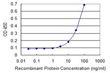 SCNN1G / ENaC Gamma Antibody - Detection limit for recombinant GST tagged SCNN1G is 1 ng/ml as a capture antibody.