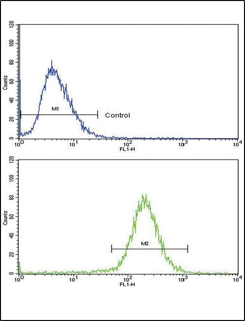 SCP2 / SCPX Antibody - Flow cytometric of HepG2 cells using SCP2 Antibody (bottom histogram) compared to a negative control cell (top histogram). FITC-conjugated goat-anti-rabbit secondary antibodies were used for the analysis.