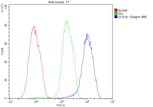SCRIB / Scribble Antibody - Flow Cytometry analysis of HepG2 cells using human SCRIBBLE DyLight® 488 conjugated Antibody. Overlay histogram showing HepG2 cells stained with human SCRIBBLE DyLight® 488 conjugated Antibody (Blue line). The cells were blocked with 10% normal goat serum. And then incubated with rabbit anti-FBXL4 Antibody (8-10µL/10E6 cells) for 30 min at 20°C. Isotype control antibody (Green line) was rabbit IgG (1µg/10E6 cells) used under the same conditions. Unlabelled sample (Red line) was also used as a control. The concentration of this antibody is 0.5mg/mL.