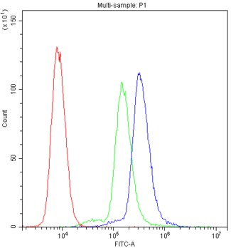 SCRIB / Scribble Antibody - Flow Cytometry analysis of A549 cells using anti-SCR1B antibody. Overlay histogram showing A549 cells stained with anti-SCR1B antibody (Blue line). The cells were blocked with 10% normal goat serum. And then incubated with rabbit anti-SCR1B Antibody (1µg/10E6 cells) for 30 min at 20°C. DyLight®488 conjugated goat anti-rabbit IgG (5-10µg/10E6 cells) was used as secondary antibody for 30 minutes at 20°C. Isotype control antibody (Green line) was rabbit IgG (1µg/10E6 cells) used under the same conditions. Unlabelled sample (Red line) was also used as a control.