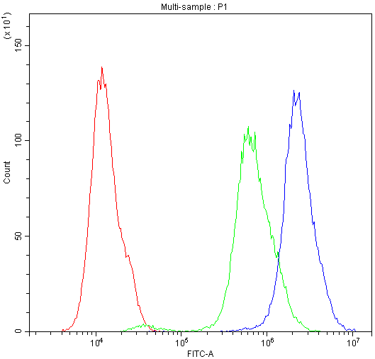 SCRIB / Scribble Antibody - Flow Cytometry analysis of HepG2 cells using anti-SCR1B antibody. Overlay histogram showing HepG2 cells stained with anti-SCR1B antibody (Blue line). The cells were blocked with 10% normal goat serum. And then incubated with rabbit anti-SCR1B Antibody (1µg/10E6 cells) for 30 min at 20°C. DyLight®488 conjugated goat anti-rabbit IgG (5-10µg/10E6 cells) was used as secondary antibody for 30 minutes at 20°C. Isotype control antibody (Green line) was rabbit IgG (1µg/10E6 cells) used under the same conditions. Unlabelled sample (Red line) was also used as a control.