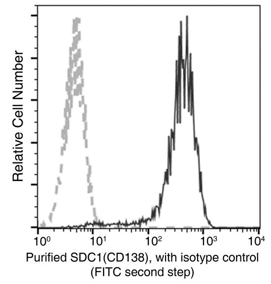 SDC1 / Syndecan 1 / CD138 Antibody - Flow cytometric analysis of Human SDC1(CD138) expression on RPMI8226 cells. Cells were stained with purified anti-Human SDC1(CD138), then a FITC-conjugated second step antibody. The fluorescence histograms were derived from gated events with the forward and side light-scatter characteristics of intact cells.