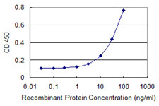 SDC2 / Syndecan 2 Antibody - Detection limit for recombinant GST tagged SDC2 is 1 ng/ml as a capture antibody.