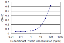 SDF2 Antibody - Detection limit for recombinant GST tagged SDF2 is 1 ng/ml as a capture antibody.