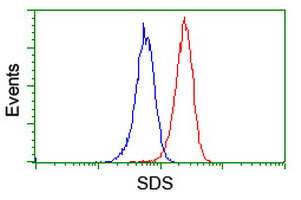 SDS Antibody - Flow cytometry of Jurkat cells, using anti-SDS antibody (Red), compared to a nonspecific negative control antibody (Blue).