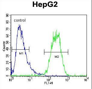 SEC13 Antibody - SEC13 Antibody flow cytometry of HepG2 cells (right histogram) compared to a negative control cell (left histogram). FITC-conjugated goat-anti-rabbit secondary antibodies were used for the analysis.