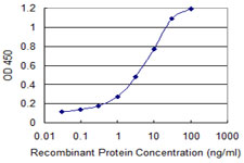 SEC13 Antibody - Detection limit for recombinant GST tagged SEC13 is 0.03 ng/ml as a capture antibody.