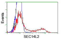 SEC14L2 Antibody - HEK293T cells transfected with either overexpress plasmid (Red) or empty vector control plasmid (Blue) were immunostained by anti-SEC14L2 antibody, and then analyzed by flow cytometry.