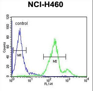 SEC31B Antibody - SC31B Antibody flow cytometry of NCI-H460 cells (right histogram) compared to a negative control cell (left histogram). FITC-conjugated goat-anti-rabbit secondary antibodies were used for the analysis.