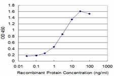 Securin / PTTG1 Antibody - Detection limit for recombinant GST tagged PTTG1 is approximately 0.03 ng/ml as a capture antibody.