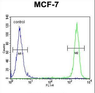 SEL1L Antibody - SEL1L Antibody flow cytometry of MCF-7 cells (right histogram) compared to a negative control cell (left histogram). FITC-conjugated goat-anti-rabbit secondary antibodies were used for the analysis.