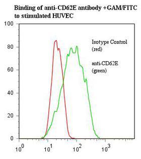 SELE / CD62E / E-selectin Antibody - Flow cytometry of SELE / CD62E / E-selectin antibody This image was taken for the unmodified form of this product. Other forms have not been tested.