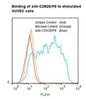 SELE / CD62E / E-selectin Antibody - Flow cytometry of SELE / CD62E / E-selectin antibody This image was taken for the unconjugated form of this product. Other forms have not been tested.