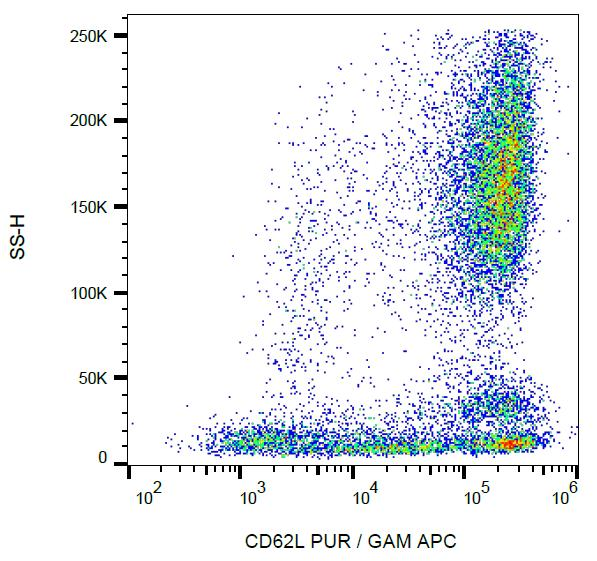 SELL / L-Selectin / CD62L Antibody - Surface staining of human peripheral blood cells with anti-CD62L (LT-TD180) purified, GAM-APC.