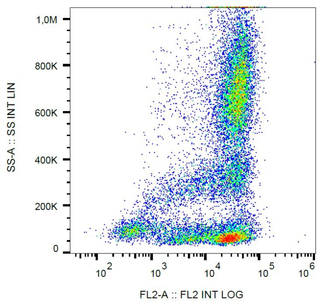 SELL / L-Selectin / CD62L Antibody - Surface staining of human peripheral blood cells with anti-CD62L (LT-TD180) PE. 