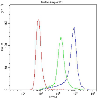 SELP / P-Selectin / CD62P Antibody - Flow Cytometry analysis of THP-1 cells using anti-P-Selectin antibody. Overlay histogram showing THP-1 cells stained with anti-P-Selectin antibody (Blue line). The cells were blocked with 10% normal goat serum. And then incubated with rabbit anti-P-Selectin Antibody (1µg/1x106 cells) for 30 min at 20°C. DyLight®488 conjugated goat anti-rabbit IgG (5-10µg/1x106 cells) was used as secondary antibody for 30 minutes at 20°C. Isotype control antibody (Green line) was rabbit IgG (1µg/1x106) used under the same conditions. Unlabelled sample (Red line) was also used as a control.