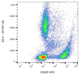 SELP / P-Selectin / CD62P Antibody - Surface staining of human peripheral blood with anti-CD62P (AK4) APC.