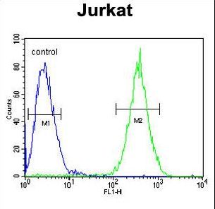 SELPLG / PSGL-1 / CD162 Antibody - SELPLG Antibody flow cytometry of Jurkat cells (right histogram) compared to a negative control cell (left histogram). FITC-conjugated goat-anti-rabbit secondary antibodies were used for the analysis.