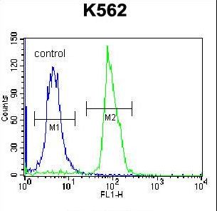 SEMA4C / Semaphorin 4C Antibody - SEMA4C Antibody flow cytometry of K562 cells (right histogram) compared to a negative control cell (left histogram). FITC-conjugated donkey-anti-rabbit secondary antibodies were used for the analysis.