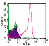 SEMA4D / Semaphorin 4D / CD100 Antibody - Cell surface flow cytometry of CD100in10^6 human lymphocytes using 0.25 ug of Monoclonal Antibody to CD100 (Clone A8). Shaded histogram represents cells without antibody; green represents isotype control, ; red represents anti-CD100 antibody. Goat anti-mouse IgG PE conjugated secondary, was used in this test.