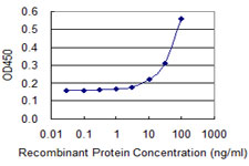 SEPT2 / Septin 2 Antibody - Detection limit for recombinant GST tagged SEPT2 is 3 ng/ml as a capture antibody.