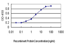 SERPINB3 Antibody - Detection limit for recombinant GST tagged SERPINB3 is approximately 0.3 ng/ml as a capture antibody.
