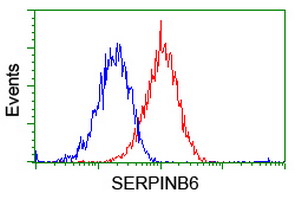 SERPINB6 / PI-6 Antibody - Flow cytometry of HeLa cells, using anti-SERPINB6 antibody (Red), compared to a nonspecific negative control antibody (Blue).