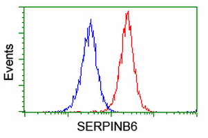 SERPINB6 / PI-6 Antibody - Flow cytometry of Jurkat cells, using anti-SERPINB6 antibody (Red), compared to a nonspecific negative control antibody (Blue).