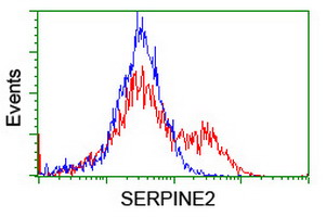 SERPINE2 / Nexin Antibody - HEK293T cells transfected with either overexpress plasmid (Red) or empty vector control plasmid (Blue) were immunostained by anti-SERPINE2 antibody, and then analyzed by flow cytometry.