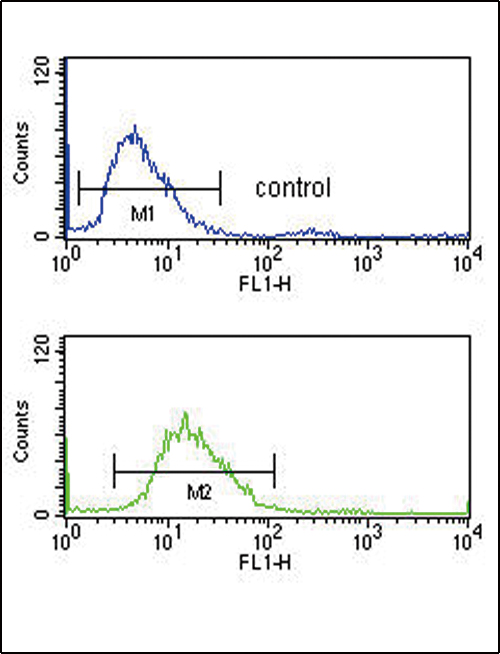 SERPINF1 / PEDF Antibody - SERPINF1 Antibody flow cytometry of 293 cells (bottom histogram) compared to a negative control cell (top histogram). FITC-conjugated goat-anti-rabbit secondary antibodies were used for the analysis.