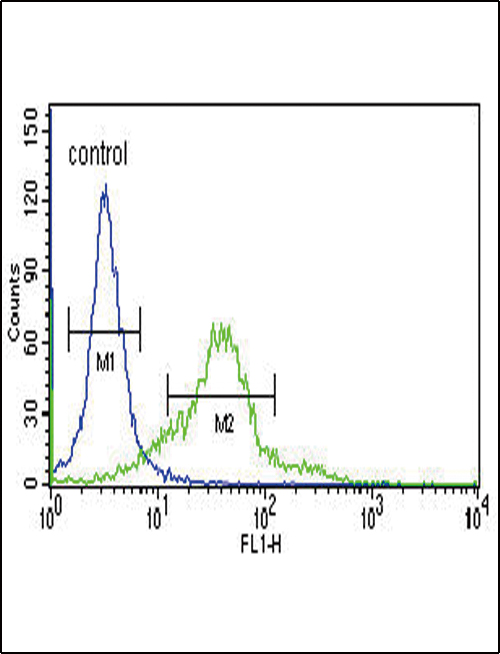 SESN2 / HI95 Antibody - Sestrin-2 Antibody flow cytometry of 293 cells (right histogram) compared to a negative control cell (left histogram). FITC-conjugated goat-anti-rabbit secondary antibodies were used for the analysis.