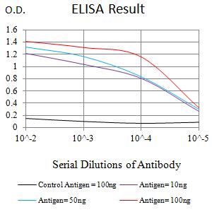 SETD7 / SET7 Antibody - Black line: Control Antigen (100 ng);Purple line: Antigen (10ng); Blue line: Antigen (50 ng); Red line:Antigen (100 ng)
